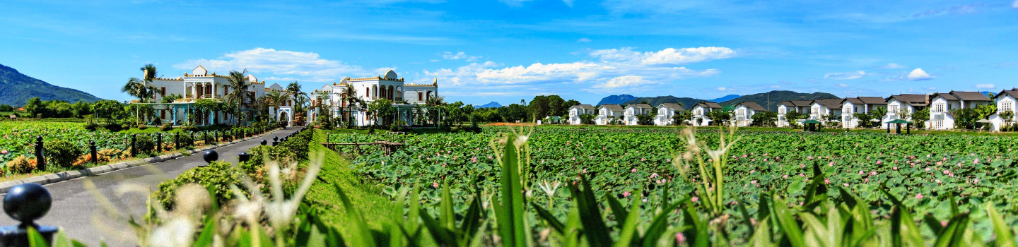 Vườn Vua Resort & Villas: Tiến gần hơn đến mục tiêu hình thành Festival hoa sen Quốc tế